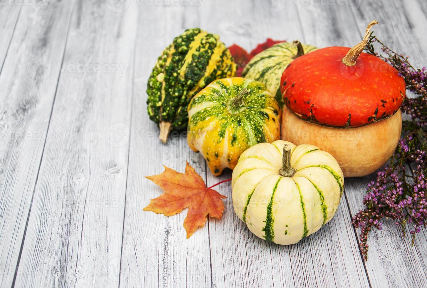 calabazas con hojas de otoño foto