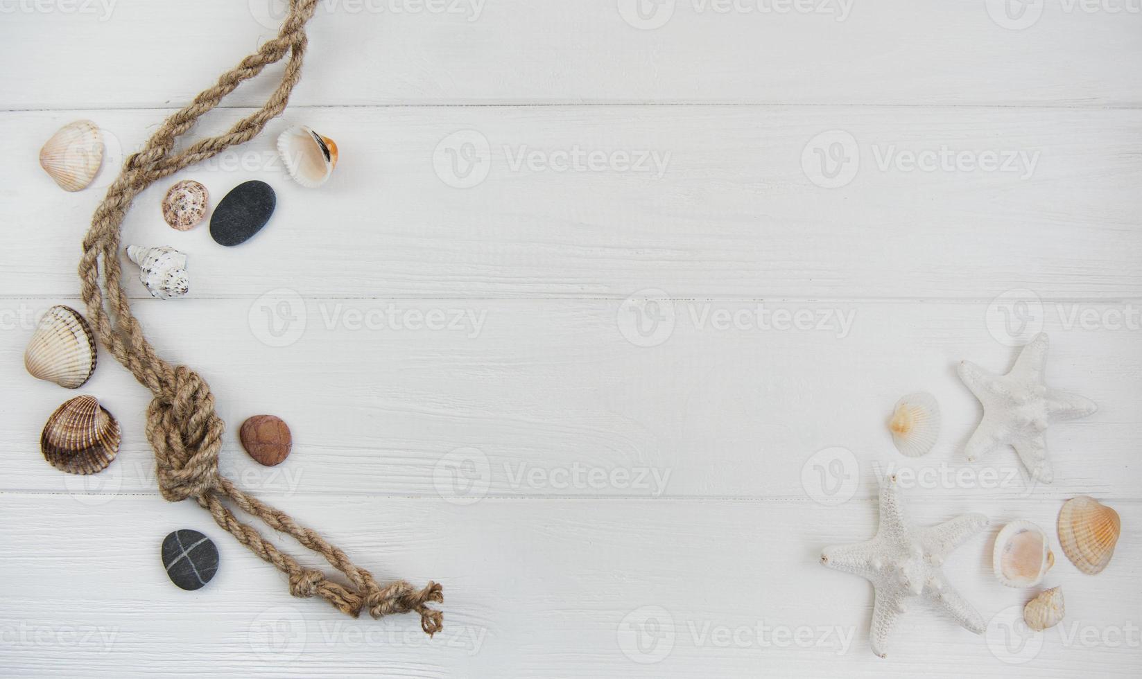 Seashells and sea decorations with rope photo