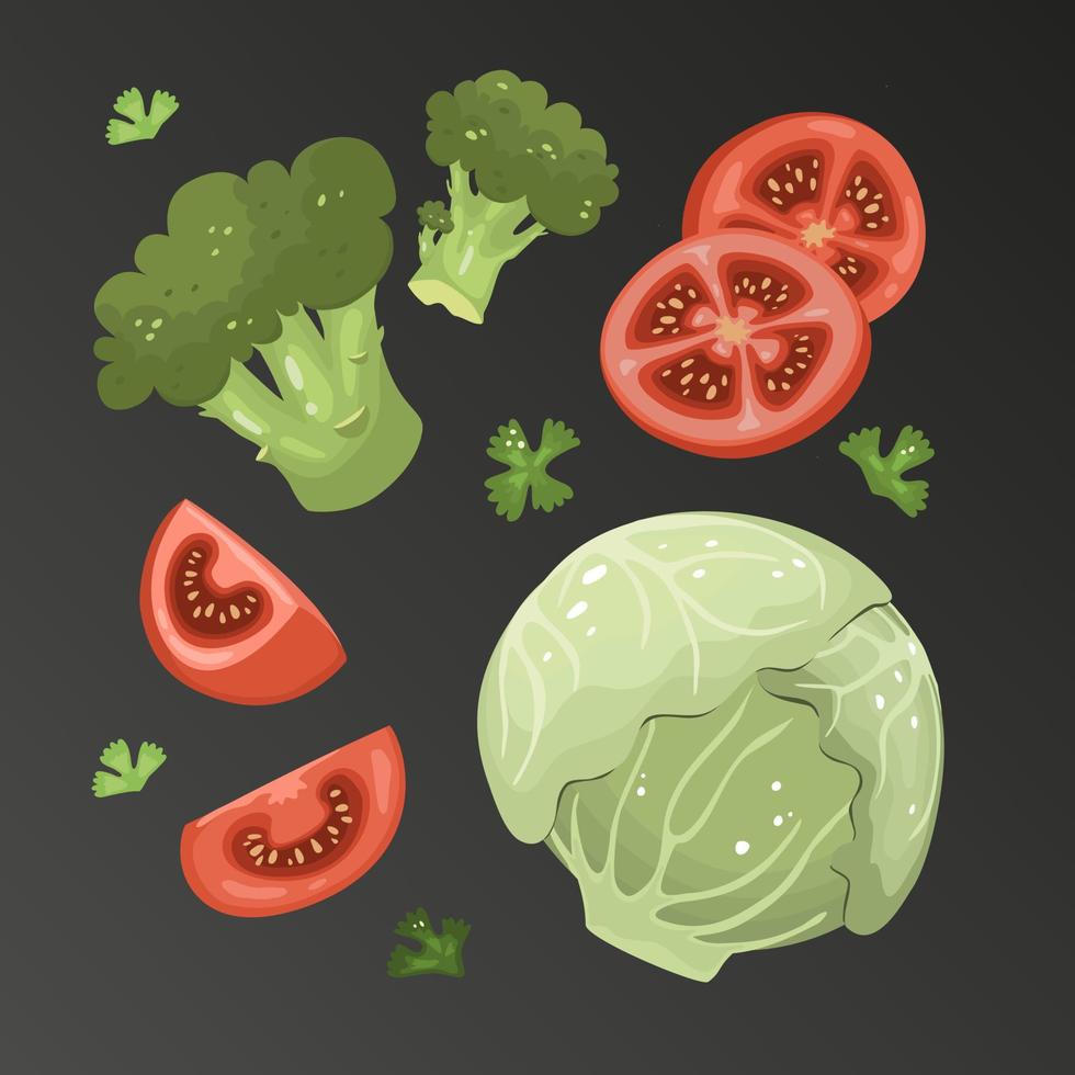 cabbage, iceberg lettuce, broccoli and tomato set. Fresh organic vegetables whole and in section. Healthy, dietary, vegetarian food. Vector illustrations for menus, recipes