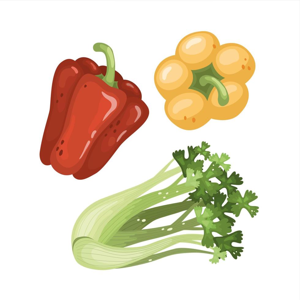 Bell pepper and celery leaves. Fresh organic vegetables. Healthy, dietary, vegetarian food. Vector illustrations isolated on a white background