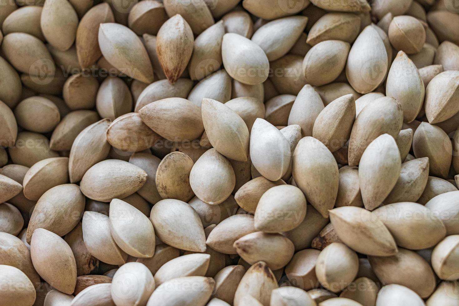 crudo ginkgo biloba semillas naturales textura comida tailandesa bangkok tailandia. foto