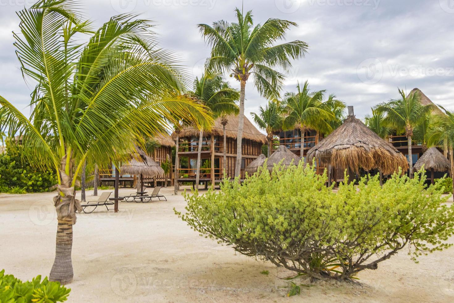 Sandy muddy road walking path and nature landscape Holbox Mexico. photo