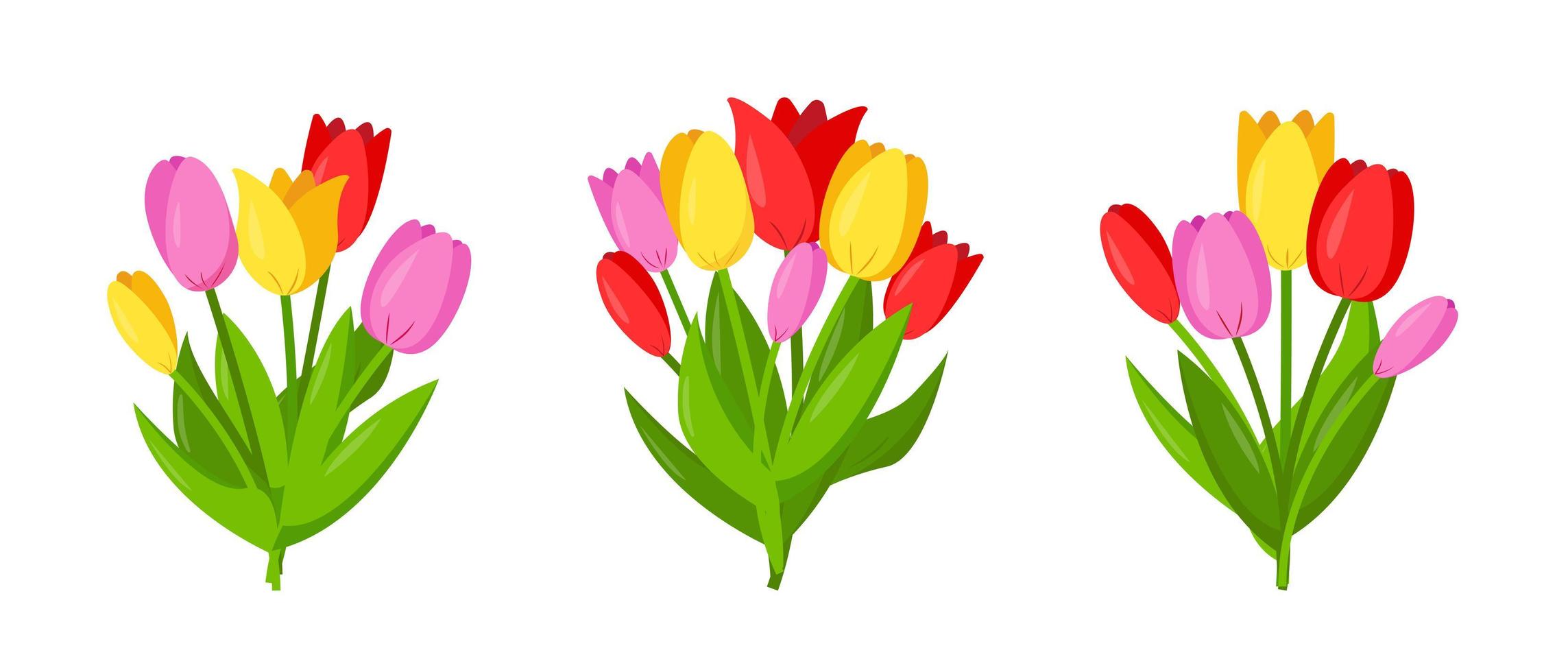 conjunto de ramos de tulipanes aislado sobre fondo blanco. vector