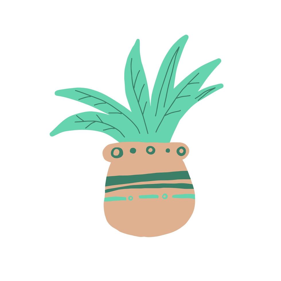 doodle house plant, vector illustration, hand drawn