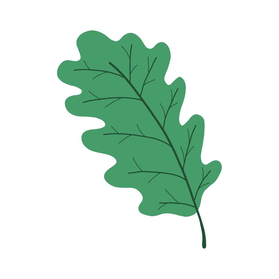 icono de ilustración de vector de hoja de roble en diseño de dibujos animados, dibujado a mano