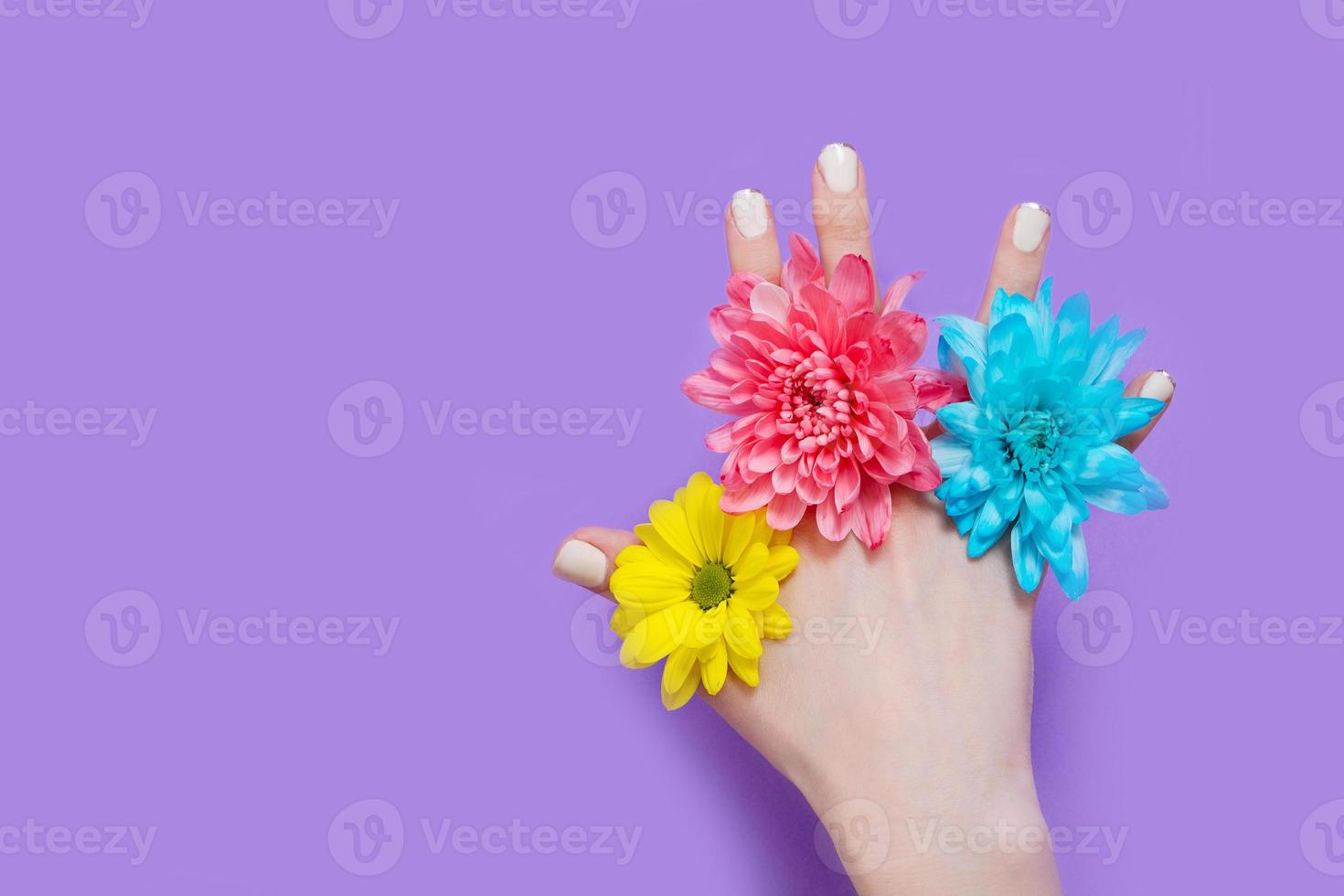 Woman hand and yellow, blue, pink flowers isolated on background. Summer and spring concept. Fashion design and manicure. Top view and copy space. Mock up mother day photo