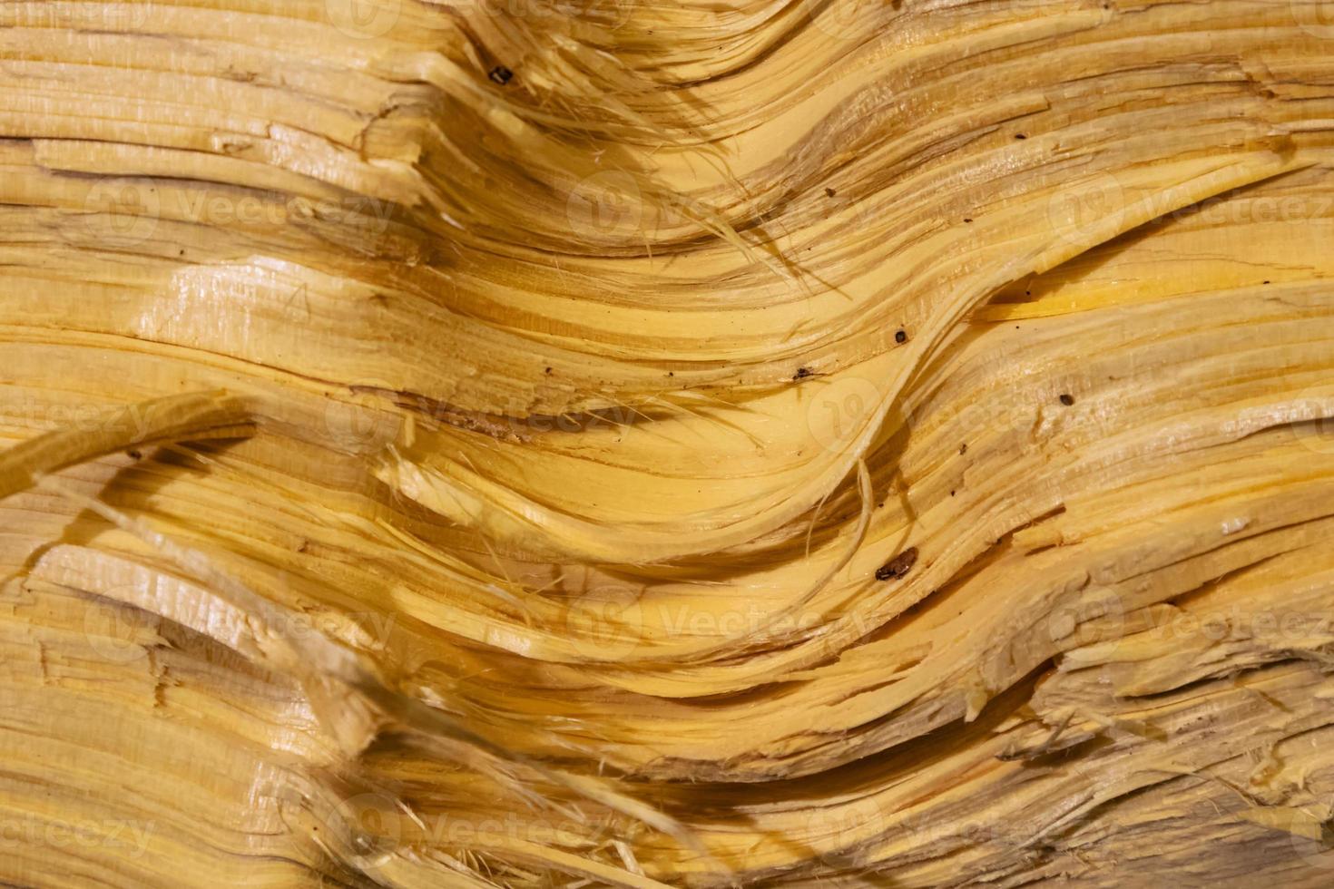 Wood abstract texture. Surface grunge backdrop. Dirty wooden effect pattern. Material background. photo