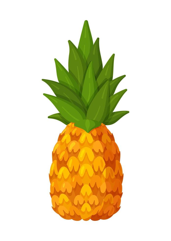 Vector illustration of a pineapple isolated on a white background. Summer fruits, for a healthy and natural life.