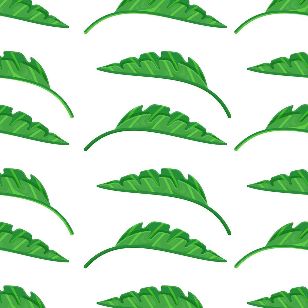 Vector illustration of a tropical leaf pattern. The outer organ of the plant. Green monster leaf on isolated transparency. tropical leaves.
