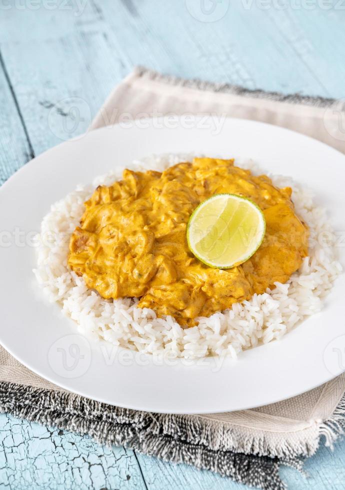 Portion of chicken curry photo