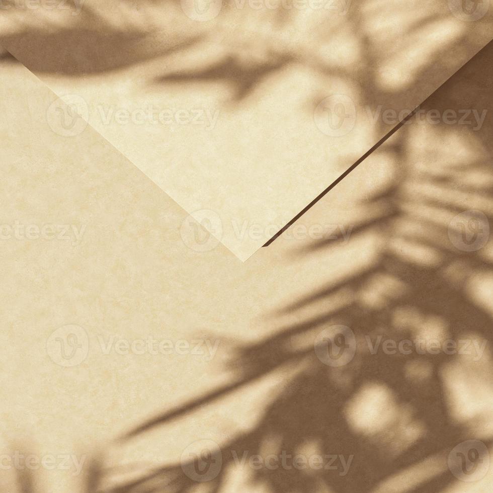 Abstract background for presentation, beige envelope and sunlight, tropical plants shade on top. 3d rendering photo