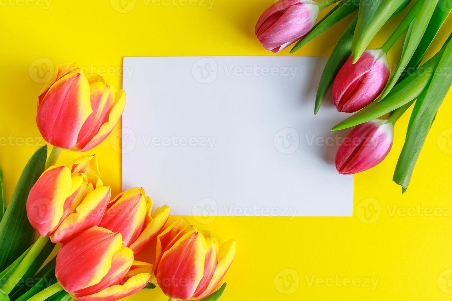 Bouquet of pink tulips and greeting card on a yellow background. photo