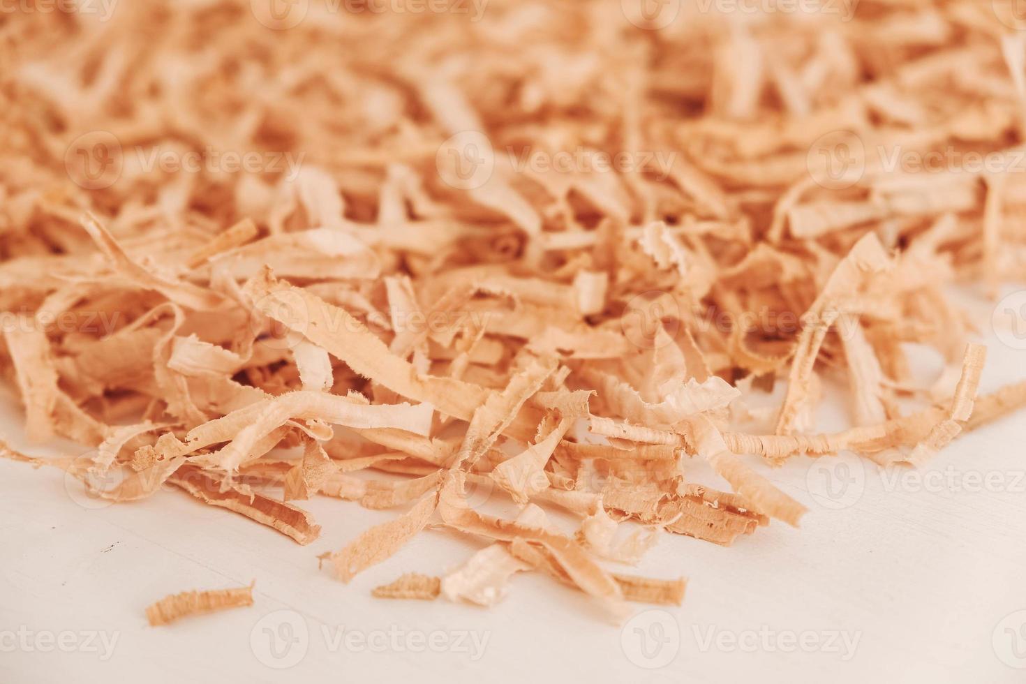 Wood shavings on white background. Top view. Copy, empty space for text photo