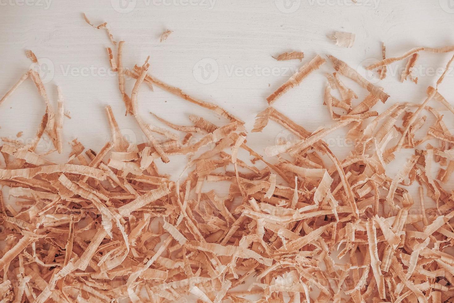 Wood shavings on white background. Top view. Copy, empty space for text photo