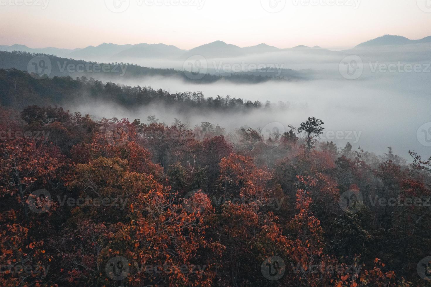 paisaje de montaña y árboles en la mañana de otoño foto