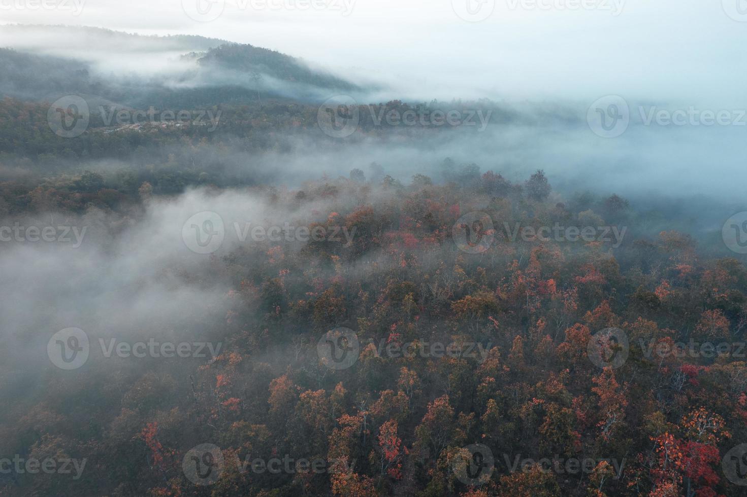 mountain scenery and trees in the autumn morning photo