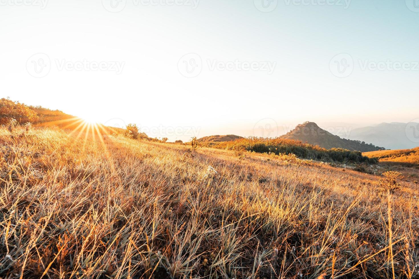 el sol sale en la montaña en verano foto