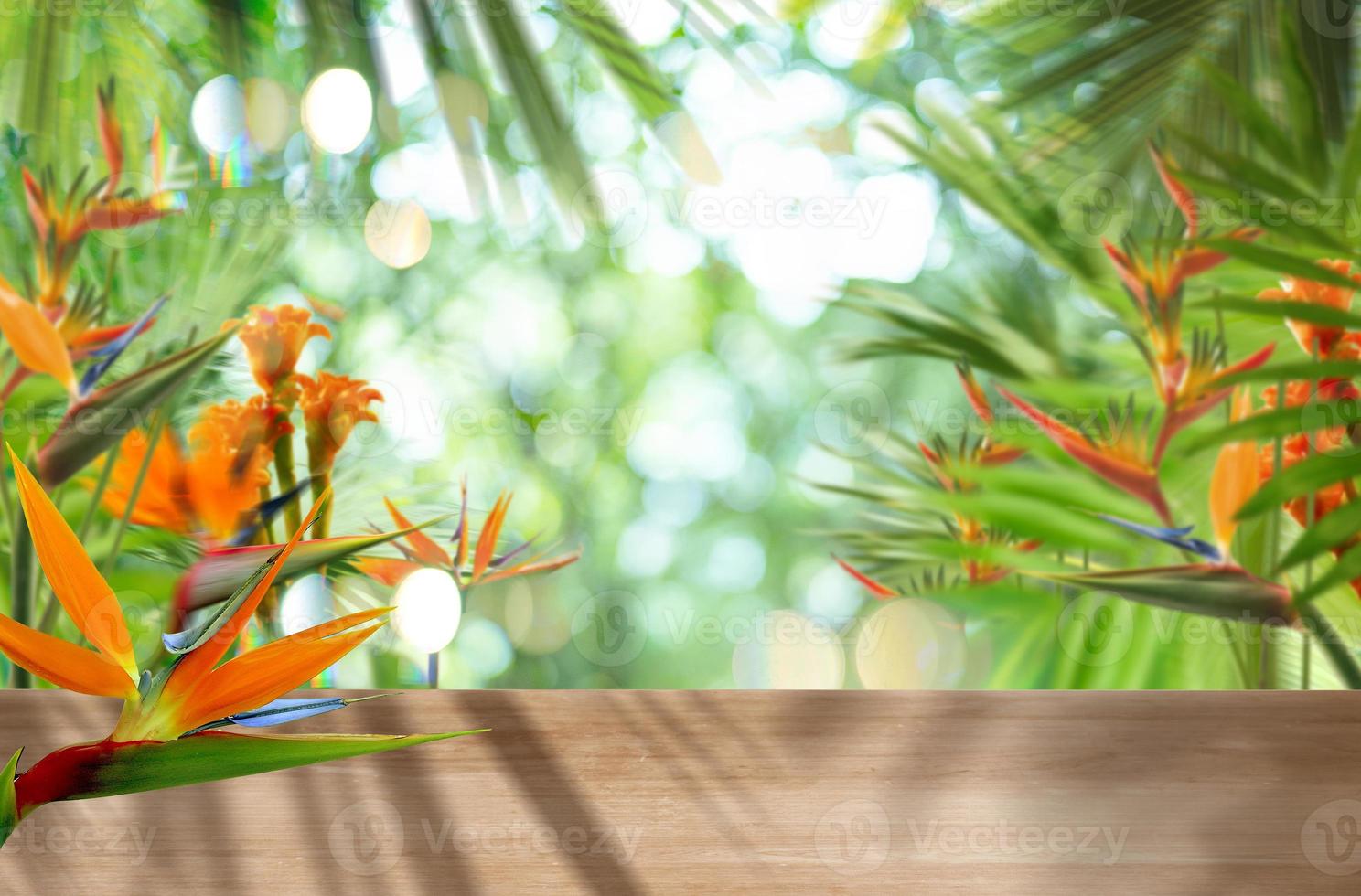 blank of wood top table at garden photo