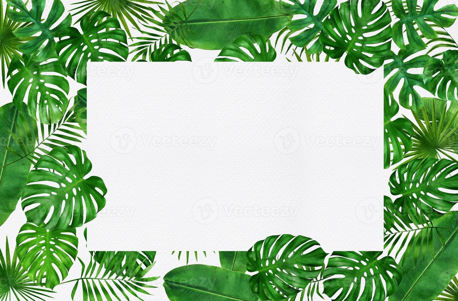 frame of tropical leaves watercolor photo