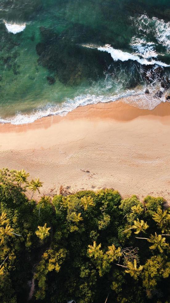 toma aerea de una playa tropical foto