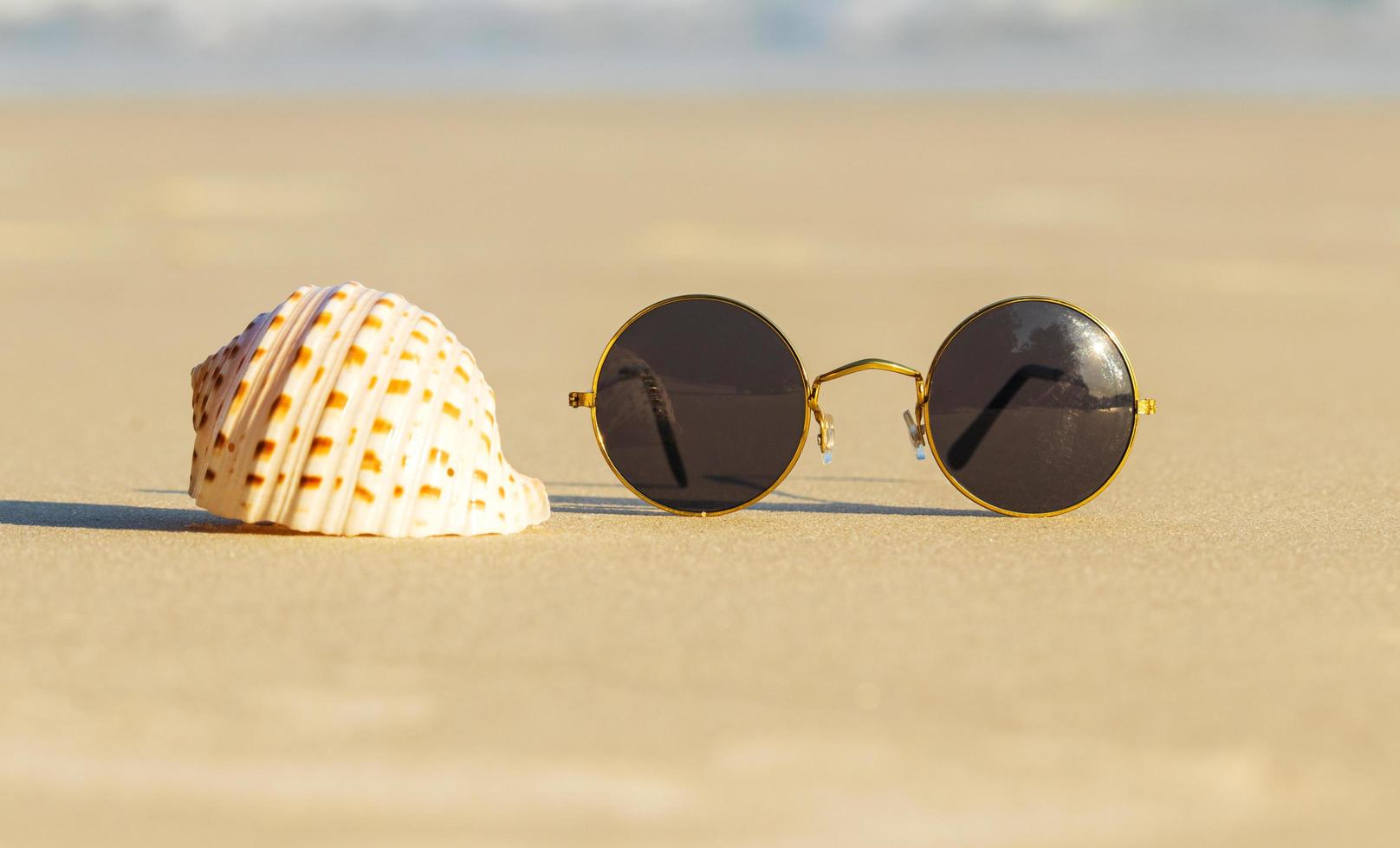 Sunglasses and scallops on a beautiful summer beach. photo