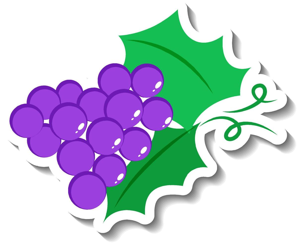 Cluster of grapes in cartoon style vector