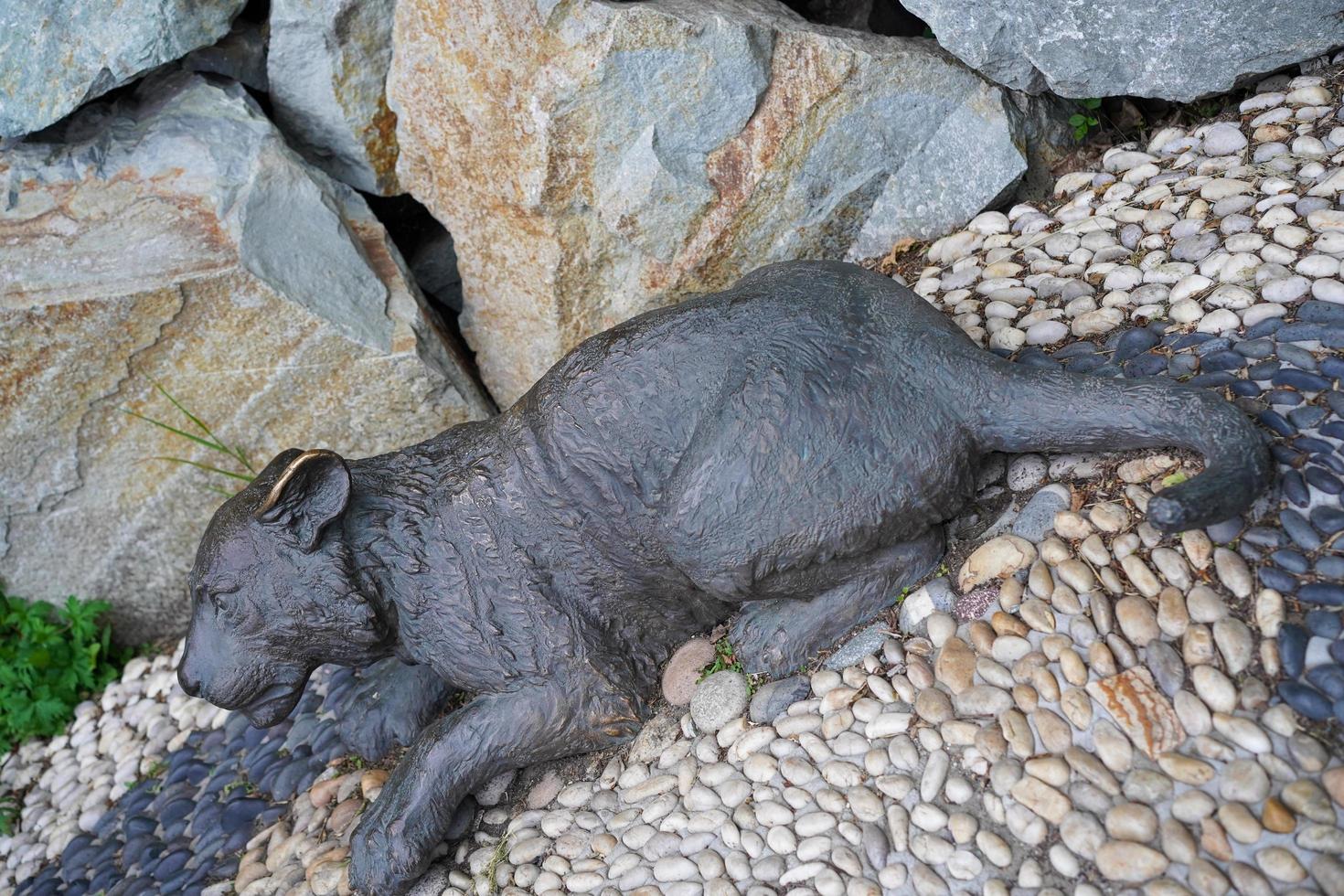 vladivostok, rusia-6 de julio de 2020 - escultura de un cachorro de tigre en el terraplén de la ciudad. foto