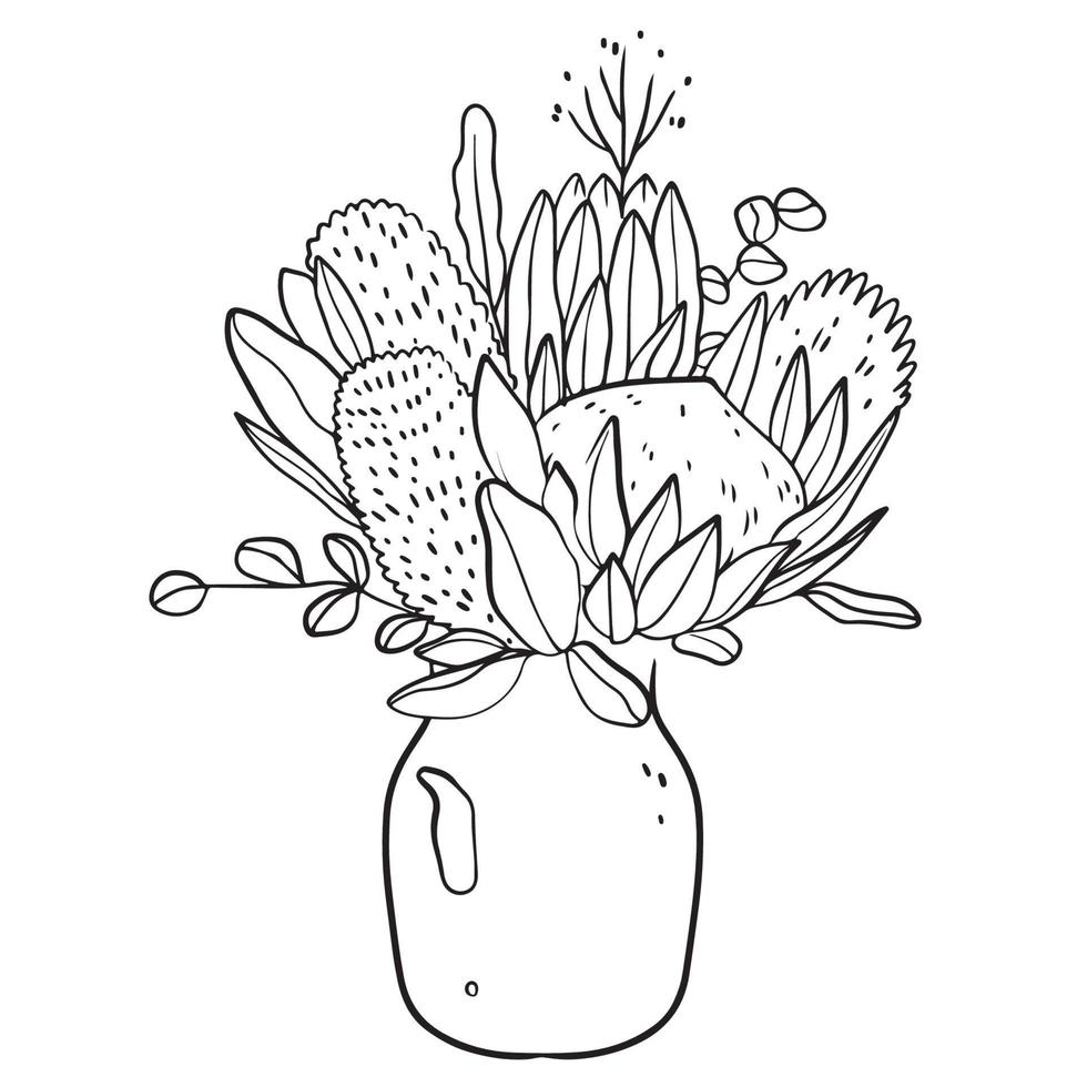 Bouquet in a linear style of proteas with eucalyptus in a vase. Sketch, modern art. vector