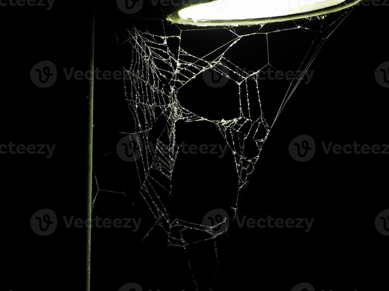 Spider web at night photo