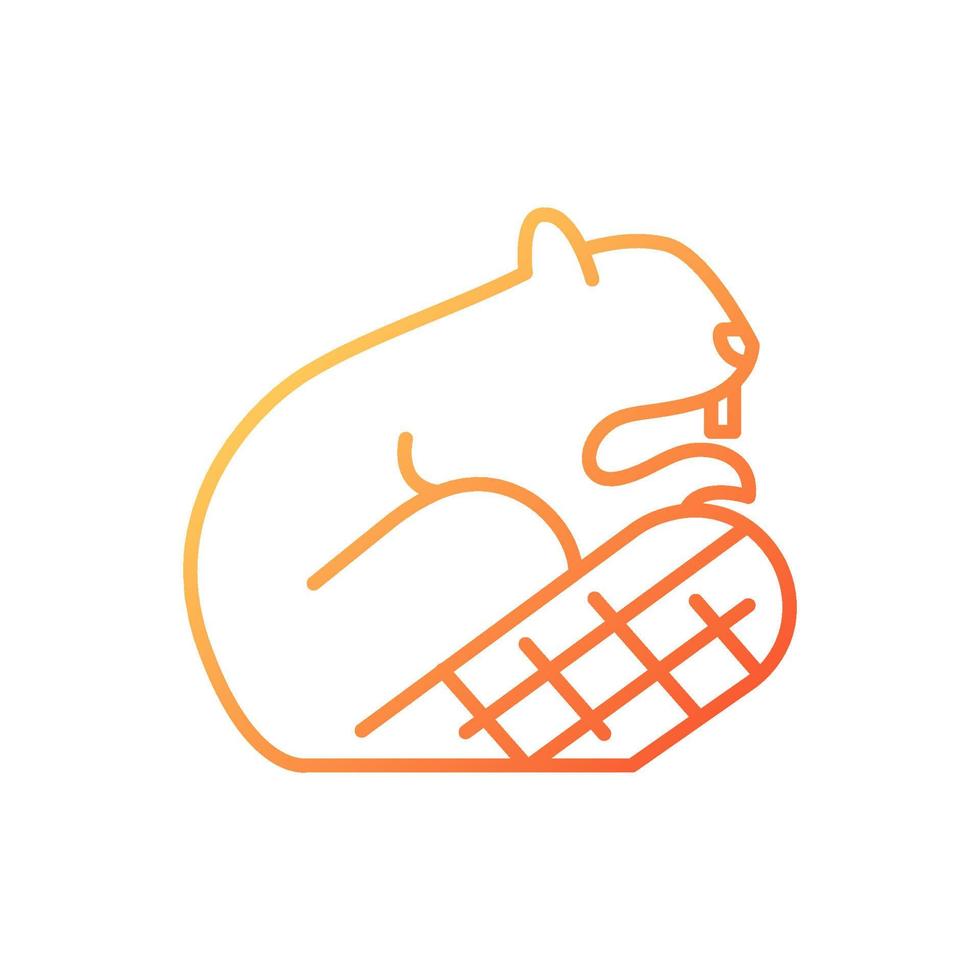 Beaver gradient linear vector icon. Symbol of sovereignty. Herbivore and semiaquatic wild animal. Beaver dam. Thin line color symbol. Modern style pictogram. Vector isolated outline drawing