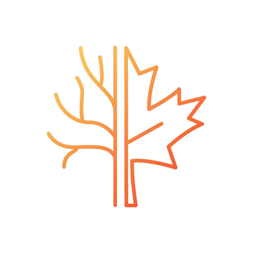 Maple tree gradient linear vector icon. Official canadian emblem. Species of trees and bushes growing in Canada. Thin line color symbol. Modern style pictogram. Vector isolated outline drawing