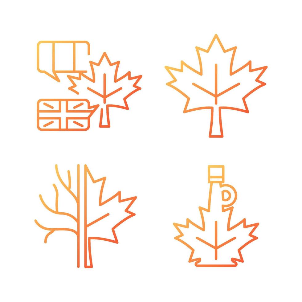 conjunto de iconos de vector lineal de gradiente de significado de hoja de arce. emblema nacional de Canadá. símbolo de la hoja de arce. país bilingüe. paquete de símbolos de contorno de línea delgada. colección de ilustraciones de contorno aislado