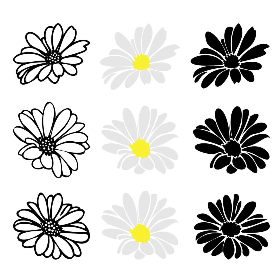 conjunto de elementos de clipart florales de margarita dibujados a mano vector