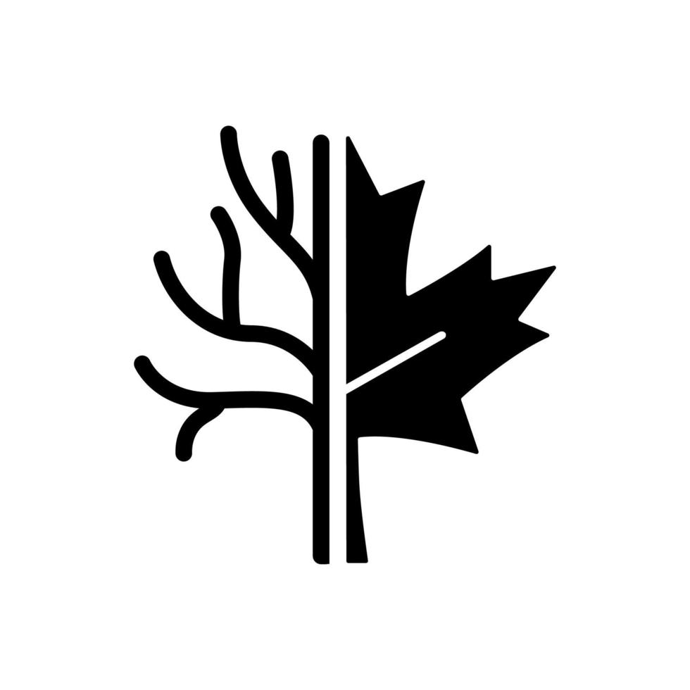 Maple tree black glyph icon. Official canadian arboreal emblem. Species of trees and bushes growing in Canada. Maple leaflet symbol. Silhouette symbol on white space. Vector isolated illustration