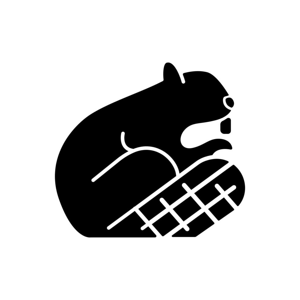Beaver black glyph icon. Symbol of canadian identity and sovereignty. Official emblem. Herbivore and semiaquatic wild animal. Silhouette symbol on white space. Vector isolated illustration