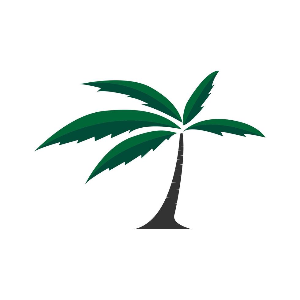 cocotero o palmera moderno logotipo plano símbolo icono vector diseño gráfico