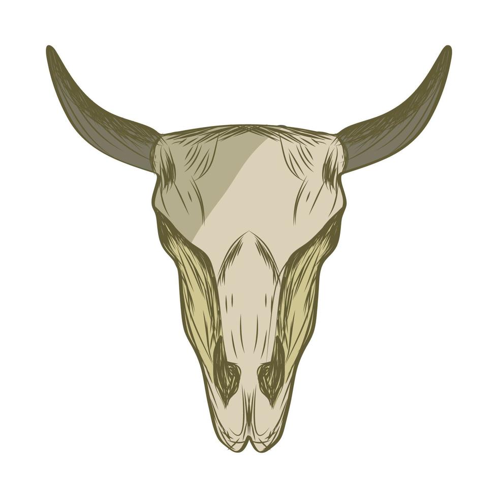 plantilla de ilustración de diseño de cráneo de vaca vector