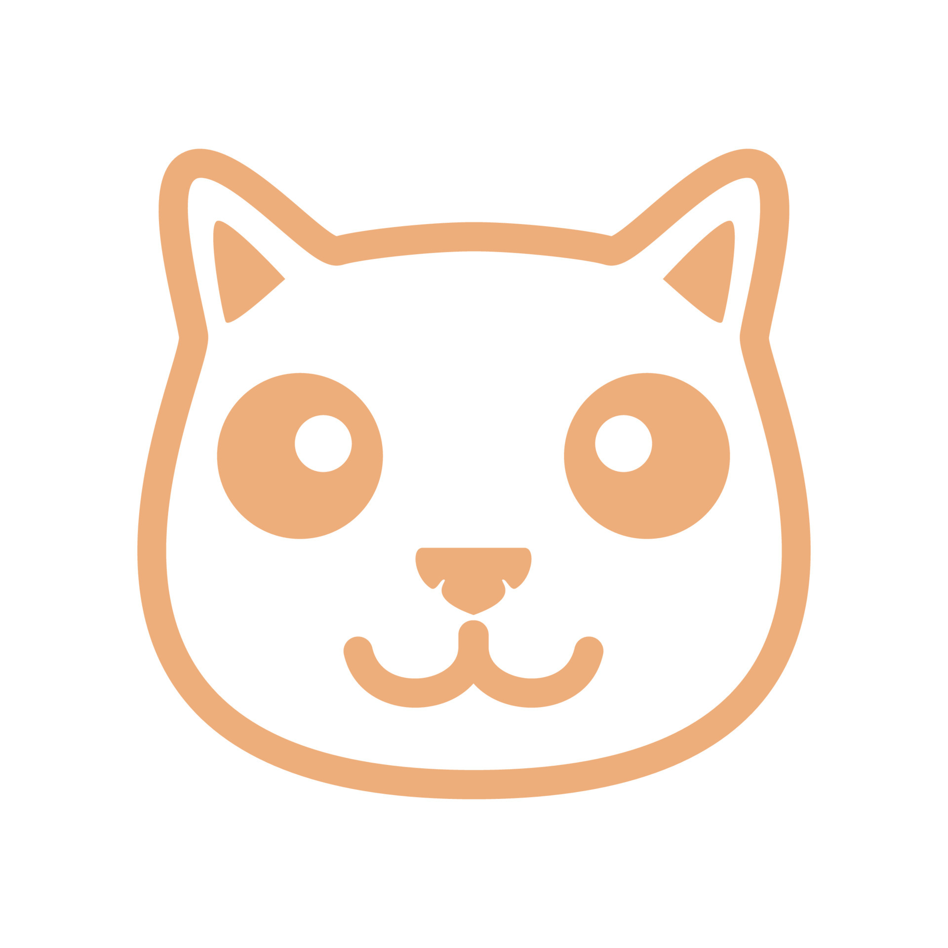 Animal, cat, cute, feline, pet, play, smile icon - Download on Iconfinder