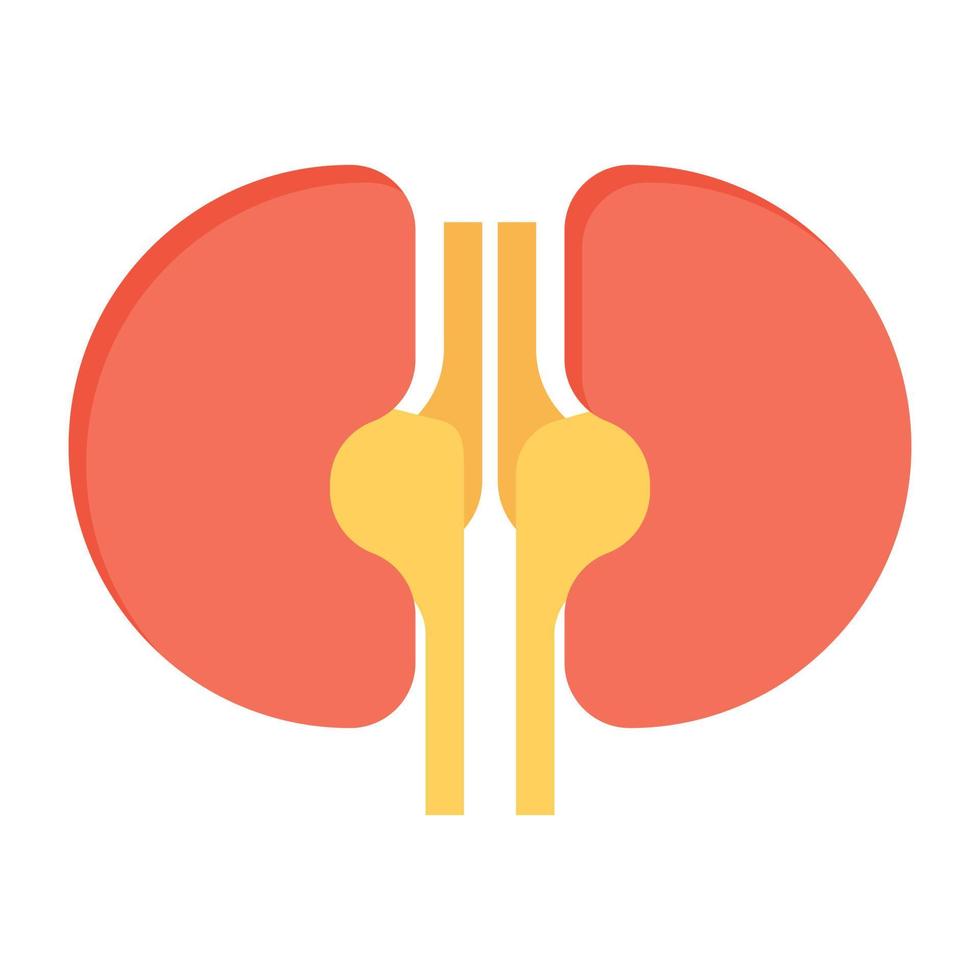 Trendy Kidneys Concepts vector