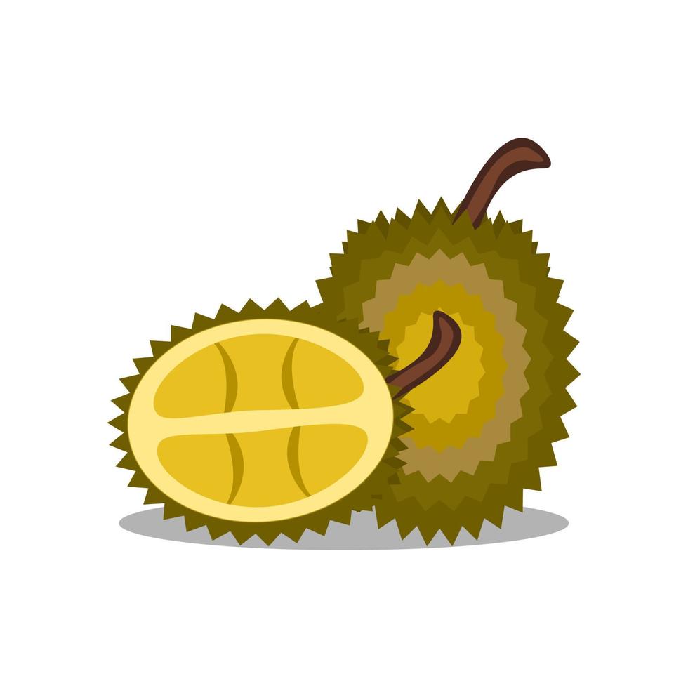 ilustración de la fruta durian vector