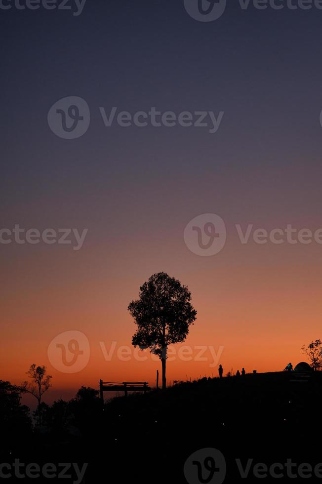 Silhouette lonely tree on mountain peak in the evening photo