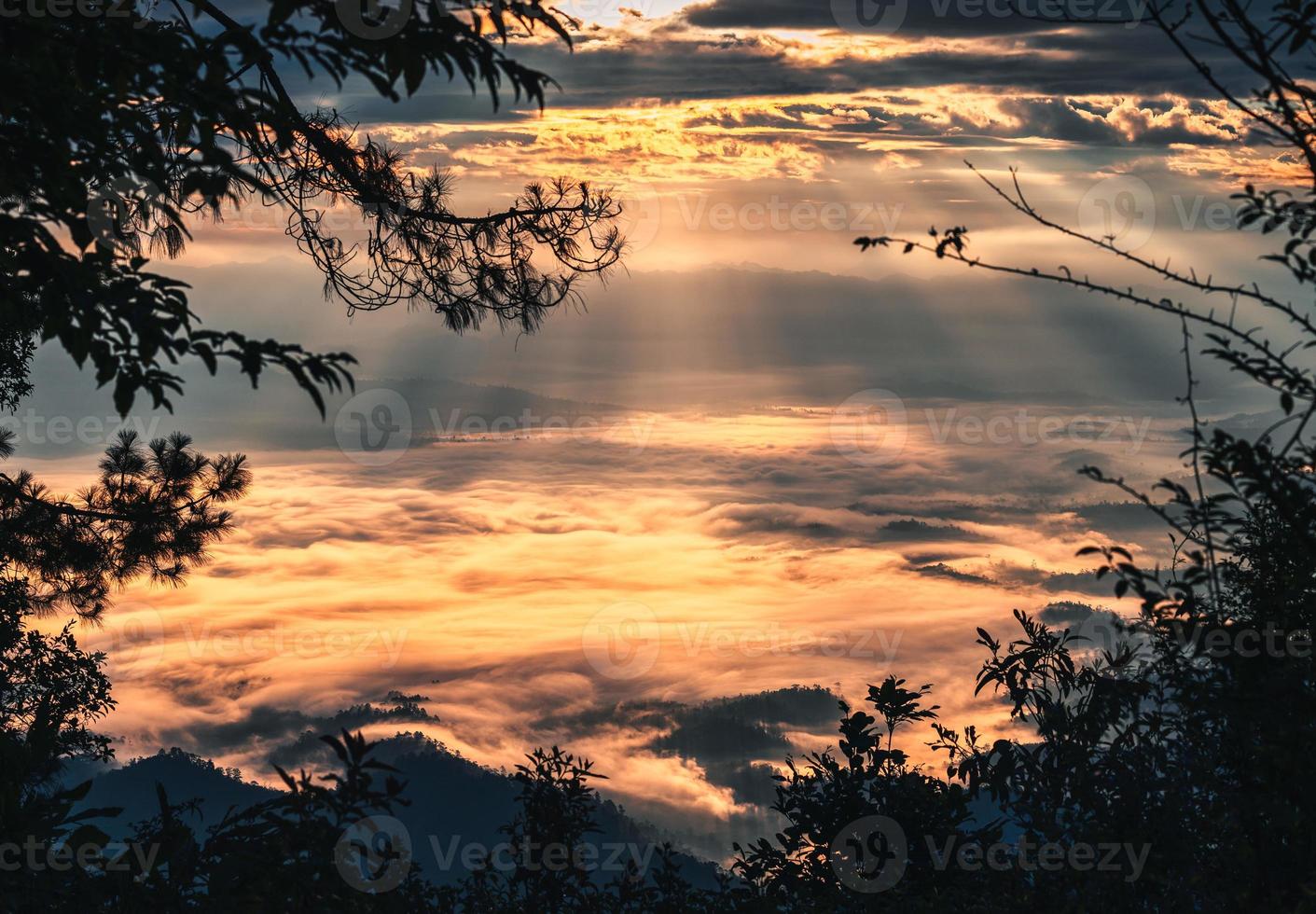 Scenery of trees frame covered of golden foggy with dramatic sky on mountain peak at sunrise photo