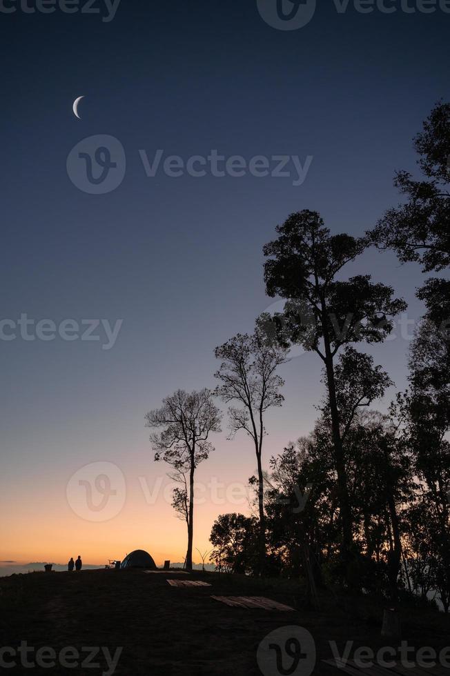 Silhouette trees with crescent moon on hill in tropical rainforest photo