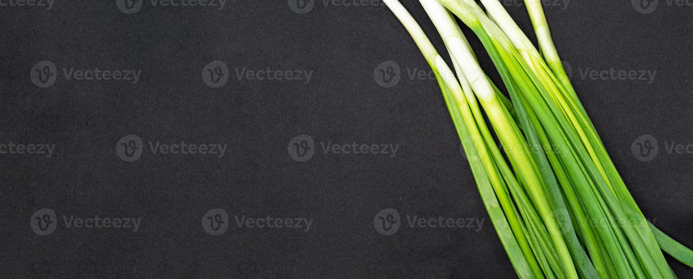 green fresh onion feathers on a dark isolated background with a blank space for your text photo