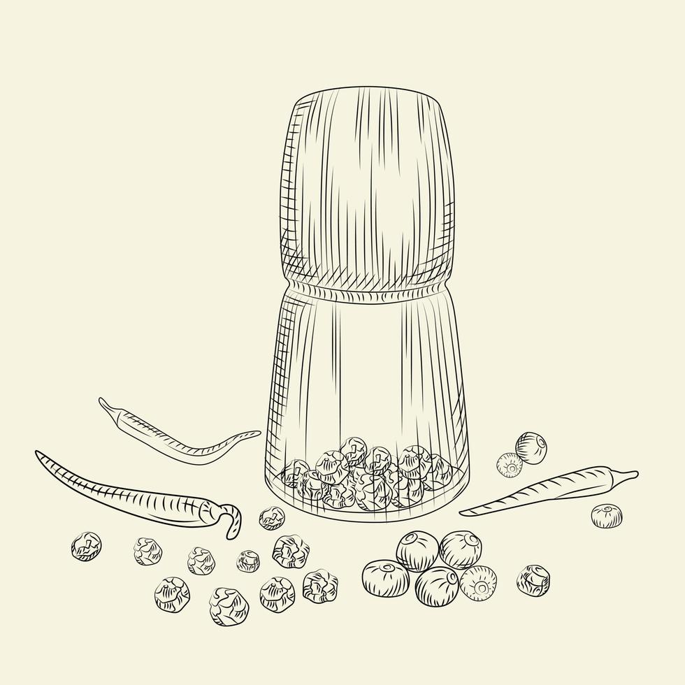 Peppercorn mill concept. Pepper set. Grinder spices and food ingredients. vector