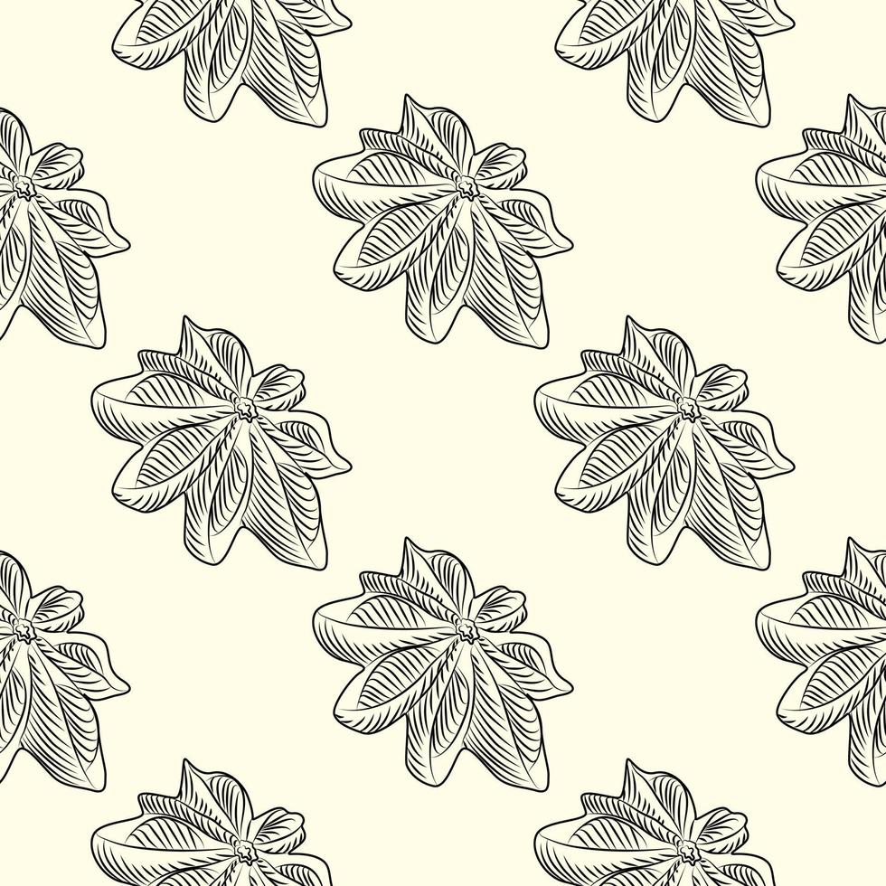 Hand drawn badian seamless pattern . Dry anise backdrop. Engraving vintage style. vector