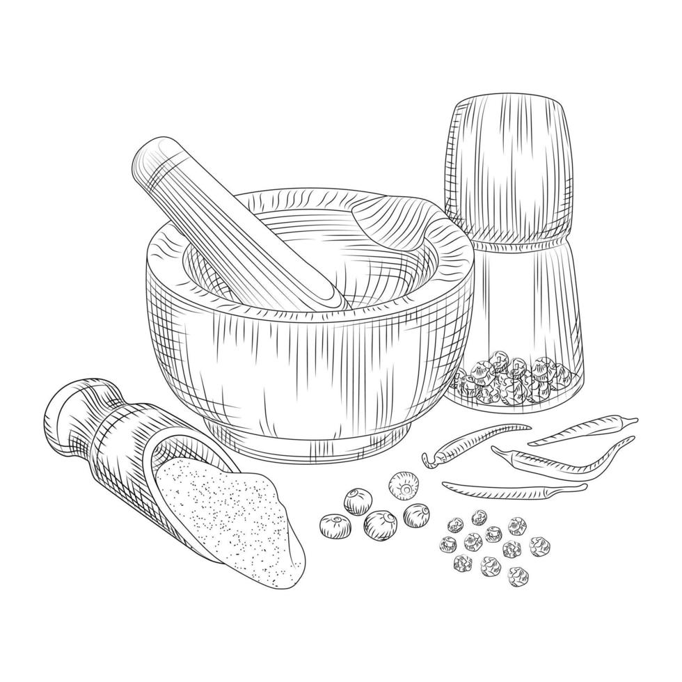 Pepper in a mortar with a pestle. Allspice, black pepper and chili. vector