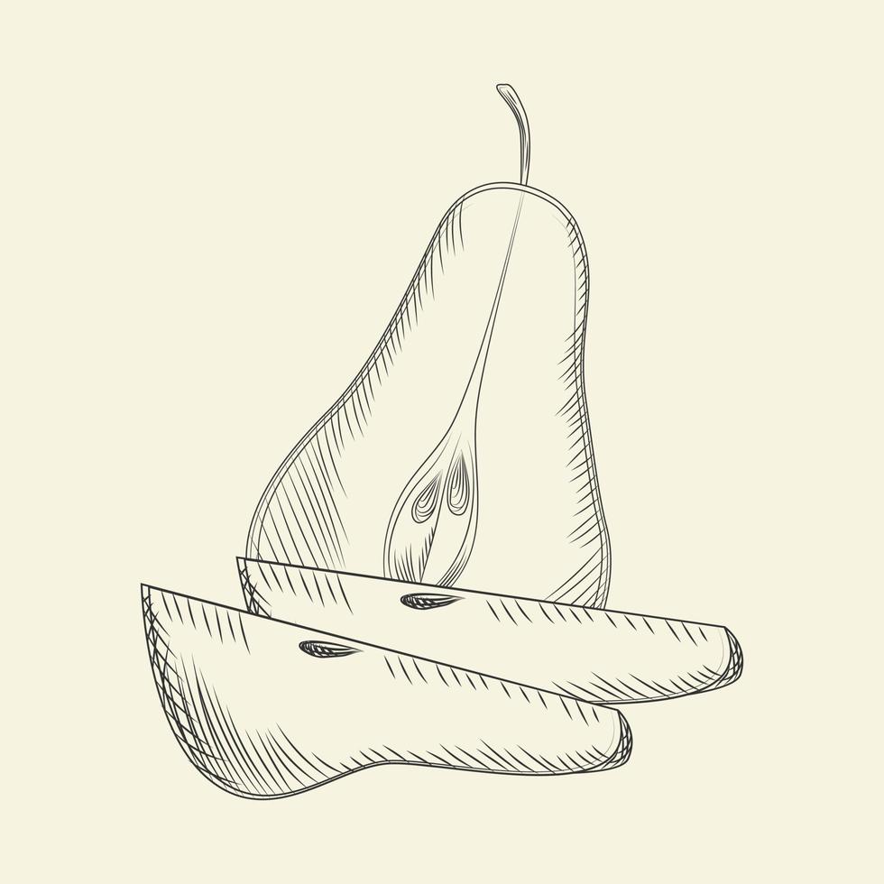 Hand drawn pear. Ripe sliced pears isolated on background. vector