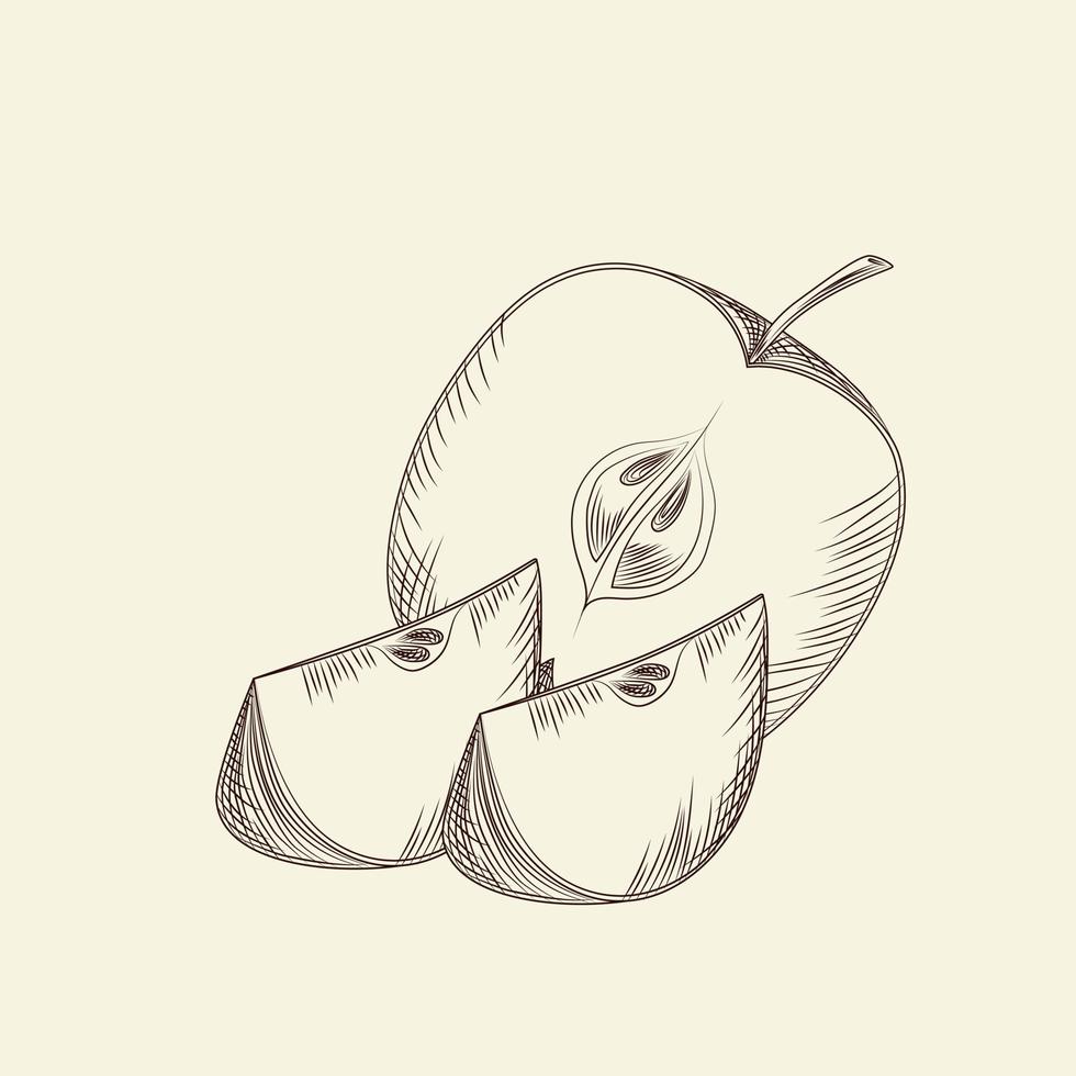 Hand drawn apple. Ripe sliced apples isolated on background. vector