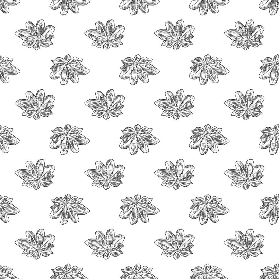 Hand drawn badian seamless pattern on white background. Dry anise backdrop. vector